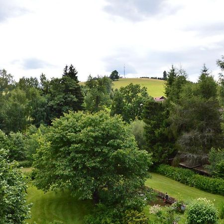Horsky Apartman Pod Zelenou Strechou Bartosovice v Orlickych Horach Kültér fotó