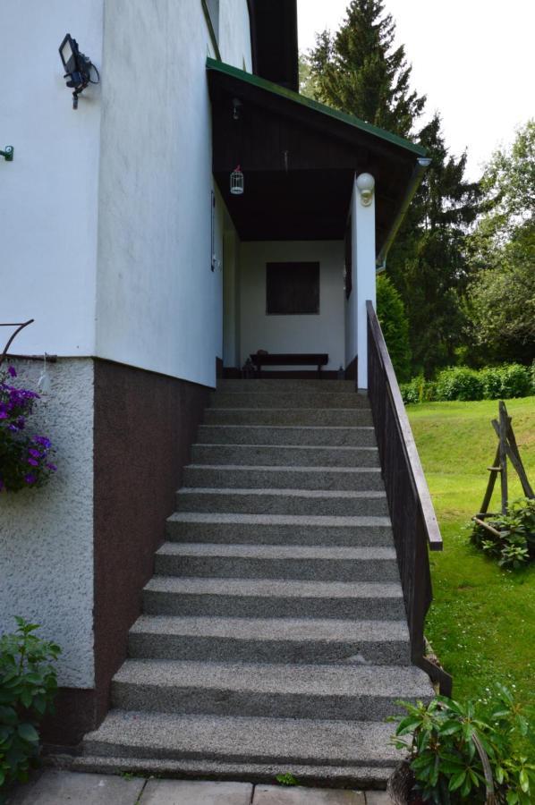 Horsky Apartman Pod Zelenou Strechou Bartosovice v Orlickych Horach Kültér fotó